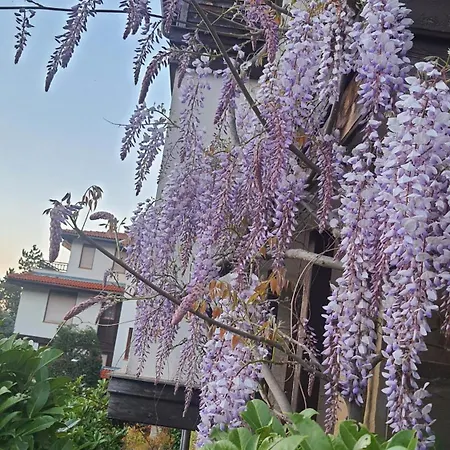 Santa Marina Village - Purple Harmony Sea View Апартамент Созопол